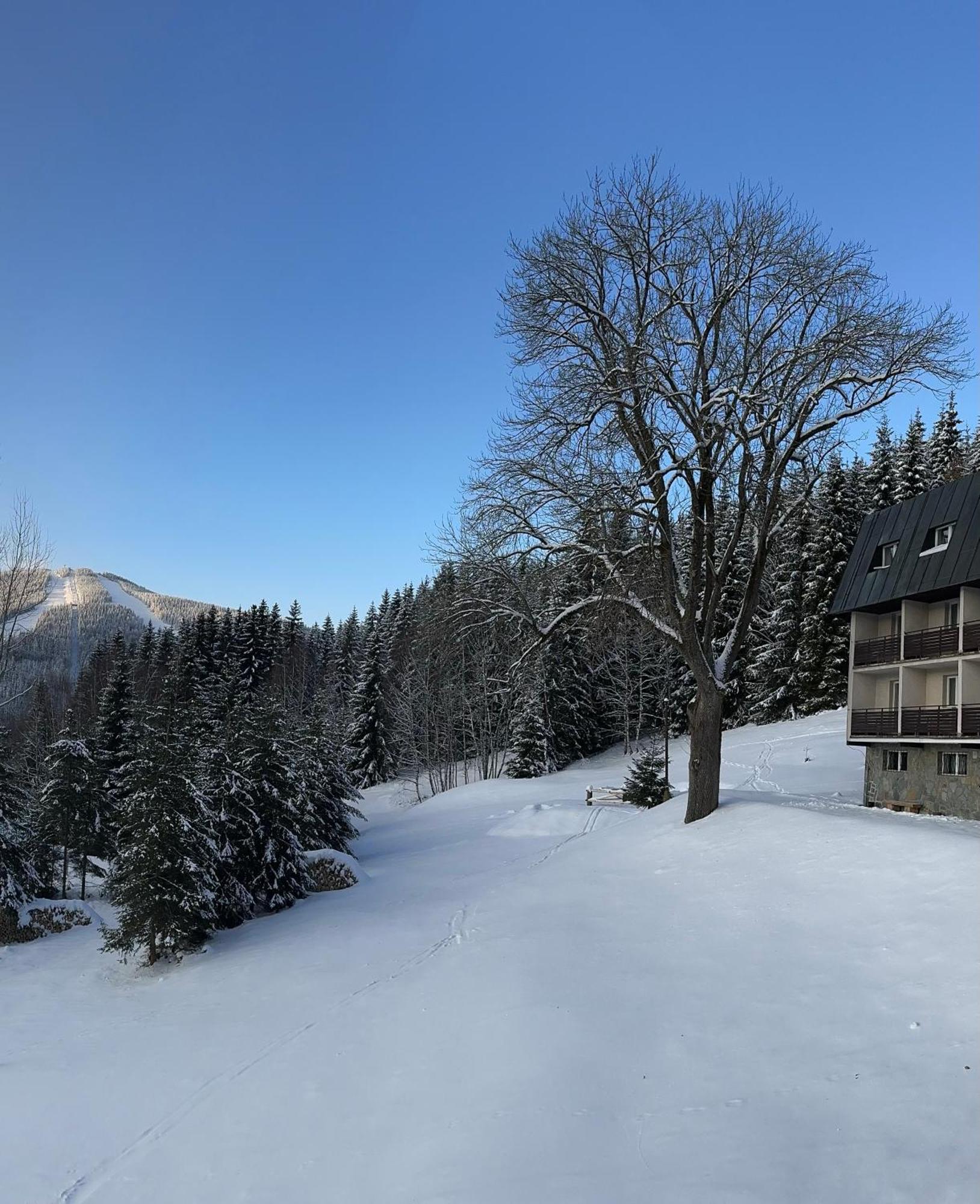 Hotel Horni Pramen Spindleruv Mlyn Exterior photo